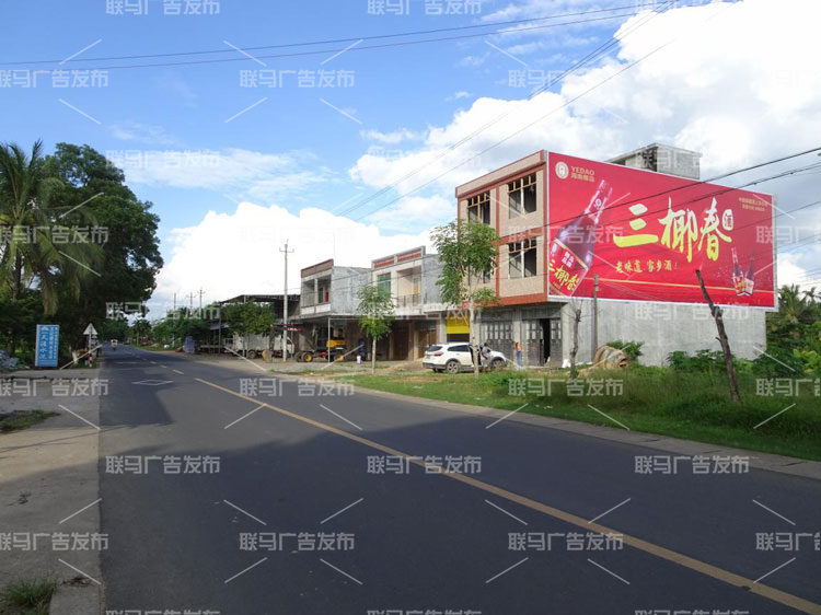 椰岛集团三椰春酒墙体广告