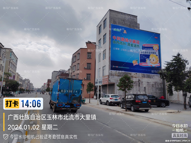 小葵花墙体广告