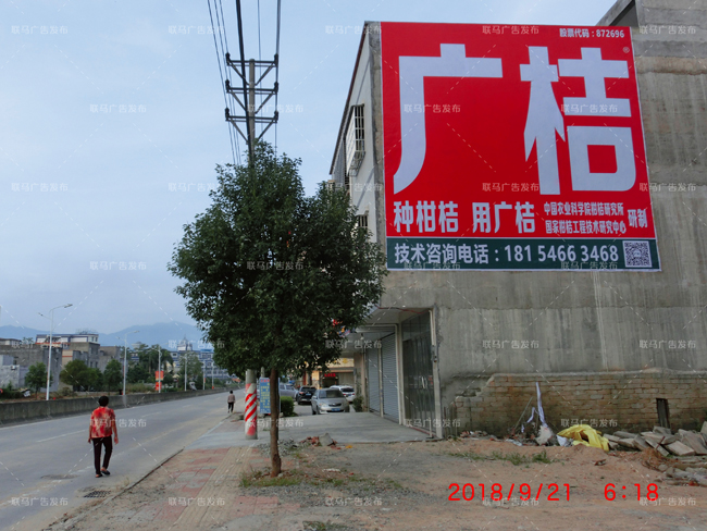 广桔墙体广告