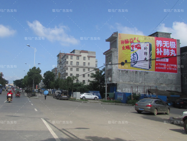 养无极墙体广告